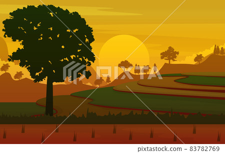 Sunrise Asian Paddy Rice Field Agriculture Nature View Illustration 83782769