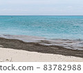 The coast of Yoron Island where pumice stones were washed ashore 83782988