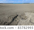 Pumice stones rushing to the Chaka coast 83782993