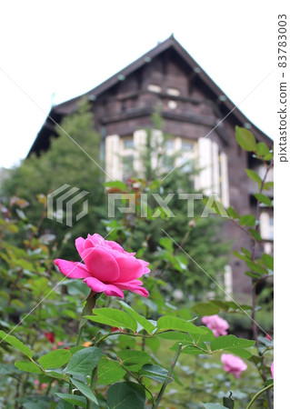 老古河花園的秋天 老古河花園的秋天 83783003