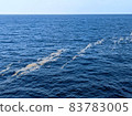 Pumice belt floating on the sea 83783005