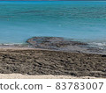 Pumice stones floating on the coast of Yoron Island 83783007