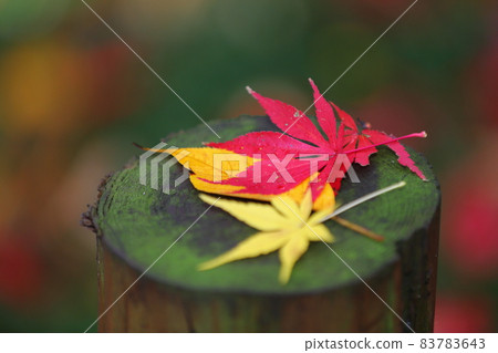 Hirin秋葉 83783643