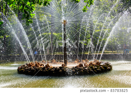 Fountain "The Sun" in lower park of Peterhof in Saint Petersburg, Russia Fountain "The Sun" in lower park of Peterhof in Saint Petersburg, Russia 83783825