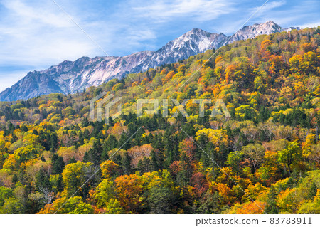 《長野縣》 紅葉徒步、津池自然庭園 83783911
