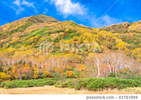 《長野縣》 紅葉徒步、津池自然庭園 《長野縣》 紅葉徒步、津池自然庭園 83783989