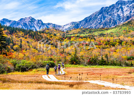 《長野縣》 紅葉徒步、津池自然庭園 83783993