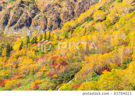 《長野縣》 紅葉徒步、津池自然庭園 《長野縣》 紅葉徒步、津池自然庭園 83784021