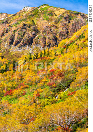 《Nagano Prefecture》 Trekking for autumn leaves, Tsugaike Natural Garden in autumn 《Nagano Prefecture》 Trekking for autumn leaves, Tsugaike Natural Garden in autumn 83784025