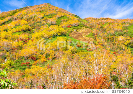 《Nagano Prefecture》 Trekking for autumn leaves, Tsugaike Natural Garden in autumn 《Nagano Prefecture》 Trekking for autumn leaves, Tsugaike Natural Garden in autumn 83784040