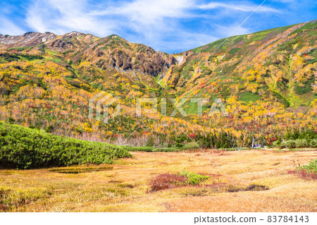 《Nagano Prefecture》 Trekking for autumn leaves, Tsugaike Natural Garden in autumn 83784143