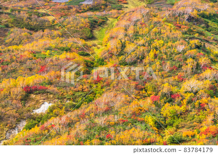 《Nagano Prefecture》 Trekking for autumn leaves, Tsugaike Natural Garden in autumn 83784179