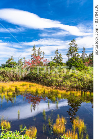 《長野縣》 紅葉徒步、津池自然庭園 《長野縣》 紅葉徒步、津池自然庭園 83784236
