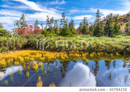 《Nagano Prefecture》 Trekking for autumn leaves, Tsugaike Natural Garden in autumn 83784238