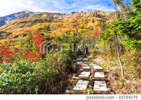《長野縣》 紅葉徒步、津池自然庭園 《長野縣》 紅葉徒步、津池自然庭園 83784278