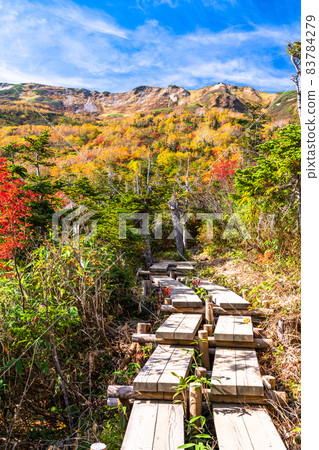 《長野縣》 紅葉徒步、津池自然庭園 《長野縣》 紅葉徒步、津池自然庭園 83784279