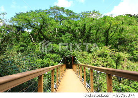 國頭村山原之森比治大瀧吊橋 83785374