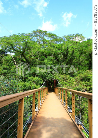 Kunigami Village Yambaru no Mori Hiji Otaki Suspension Bridge 83785375