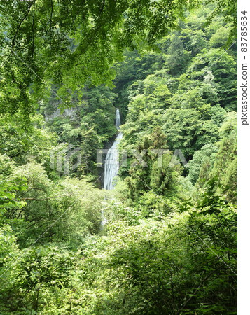 Marugami Waterfall seen from the observatory (Ogano Town, Chichibu District, Saitama Prefecture) 83785634