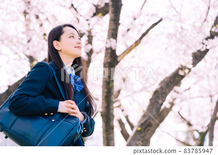 Sakura and school girls 83785947