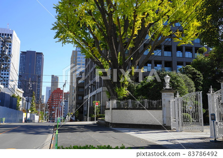 November 1459 Tsunanotebikizaka and Ginkgo (Tsunamachi Mitsui Club), Mita 2-chome, Minato-ku 83786492