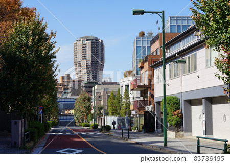 November 1457 Hinatazaka and Motoazabu Hills Forest Tower Mita 2-chome, Minato-ku 83786495