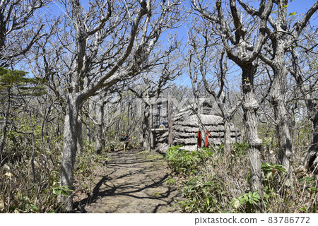 川口遺跡 風景 森林 川口遺跡 風景 森林 83786772