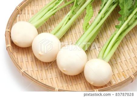 蕪菁 蕪菁 83787028