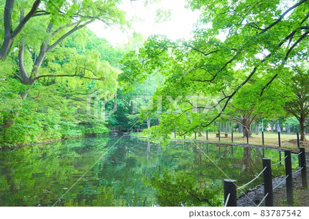 北海道札幌丸山公園 83787542