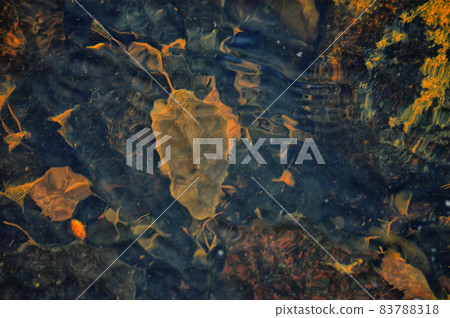Abstraction. Autumn fallen leaf under water. Water waves on the surface. Pastel painting Abstraction. Autumn fallen leaf under water. Water waves on the surface. Pastel painting 83788318