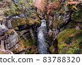 日本宮城縣秋穗溫泉的“萊萊峽秋葉” 83788320