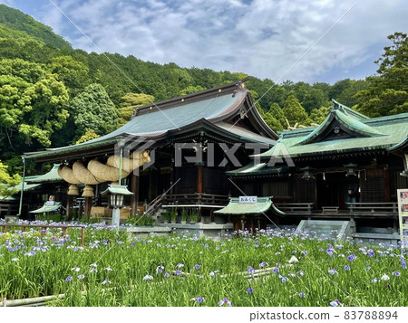 宮地岳神社、菖蒲和日本第一島輪（福津市/福岡） 83788894