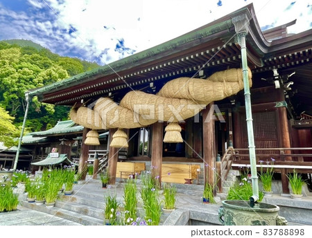 宮地岳神社、菖蒲和日本第一島輪（福津市/福岡） 83788898