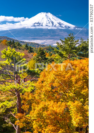 《山梨縣》秋天的富士山·秋葉20首歌曲 《山梨縣》秋天的富士山·秋葉20首歌曲 83790287