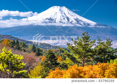 《山梨縣》秋天的富士山·秋葉20首歌曲 《山梨縣》秋天的富士山·秋葉20首歌曲 83790289