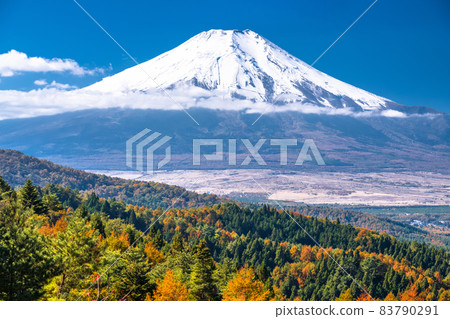 《山梨縣》秋天的富士山·秋葉20首歌曲 《山梨縣》秋天的富士山·秋葉20首歌曲 83790291