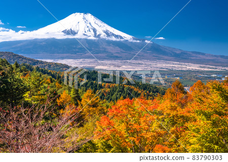 《山梨縣》秋天的富士山·秋葉20首歌曲 《山梨縣》秋天的富士山·秋葉20首歌曲 83790303