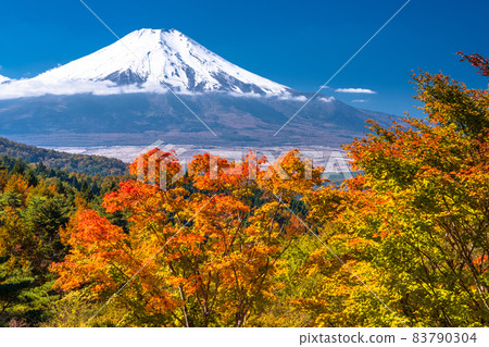 《山梨縣》秋天的富士山·秋葉20首歌曲 《山梨縣》秋天的富士山·秋葉20首歌曲 83790304