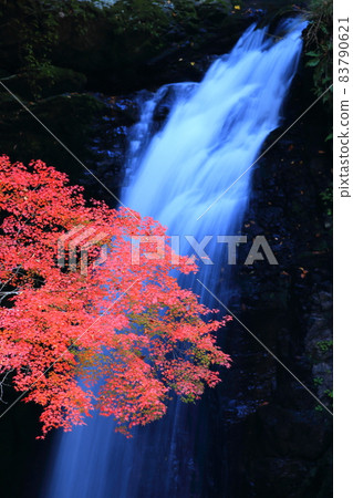 Koyasan Otaki Autumn leaves 83790621
