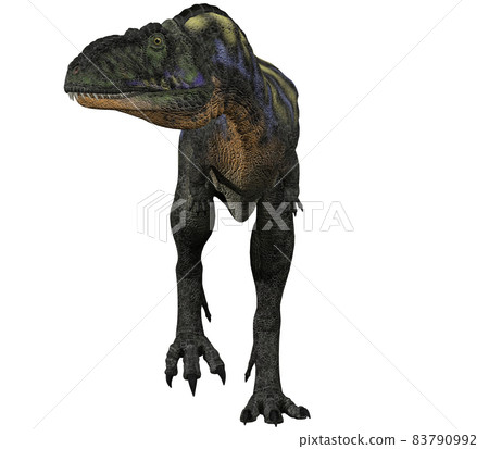 Aucasaurus ☆ Aucasaurus Aucasaurus ☆ Aucasaurus 83790992