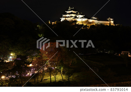 和歌山城 Bamboo Light 夜晚 83791014
