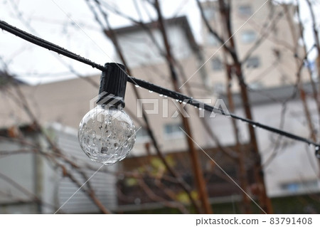 A miniature bulb waiting to light up in the rain A miniature bulb waiting to light up in the rain 83791408