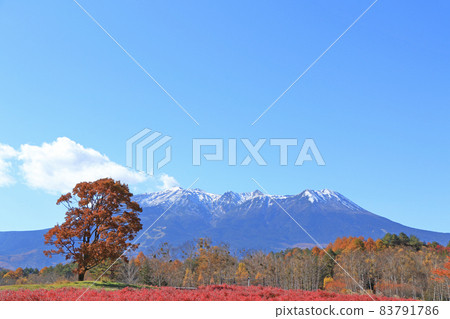 Mt. Mitake in autumn seen from Kaida Kogen Kisouma no Sato 83791786