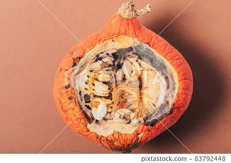 Half pumpkin with mold in seeds Half pumpkin with mold in seeds 83792448