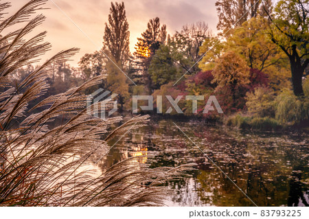 Picturesque sunrise in Vienna city 83793225