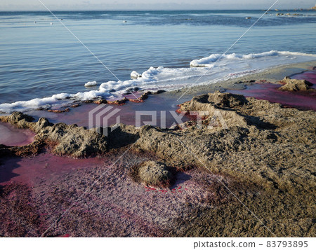 Purple ice on the shore. 83793895