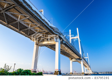 Yokohama Bay Bridge illuminated by the morning sun, Yokohama Bay Bridge looking up, fine weather, symbol of Yokohama 83795191