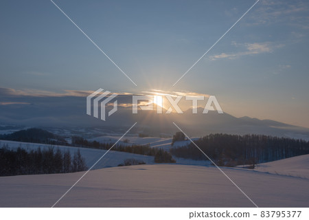 Midsummer Winter's Shuguang Biei Midsummer Winter's Shuguang Biei 83795377