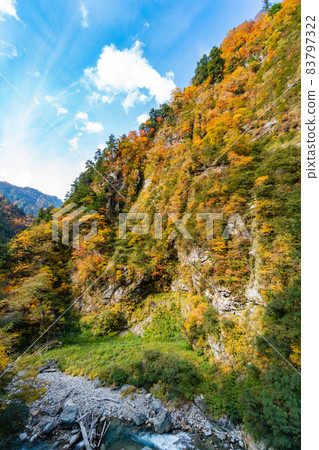 Autumn leaves in a colorful valley Autumn leaves in a colorful valley 83797322