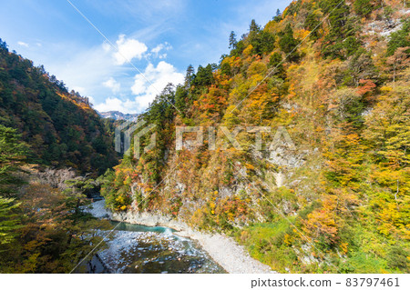 Clear stream Kurobe River and bright autumn leaves Clear stream Kurobe River and bright autumn leaves 83797461
